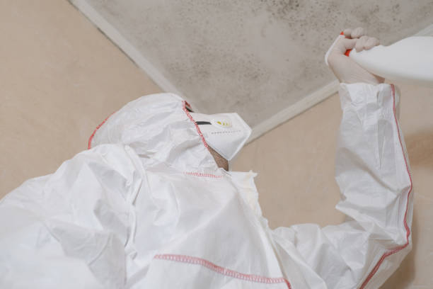 Best Residential Mold Remediation in Sparkill, NY
